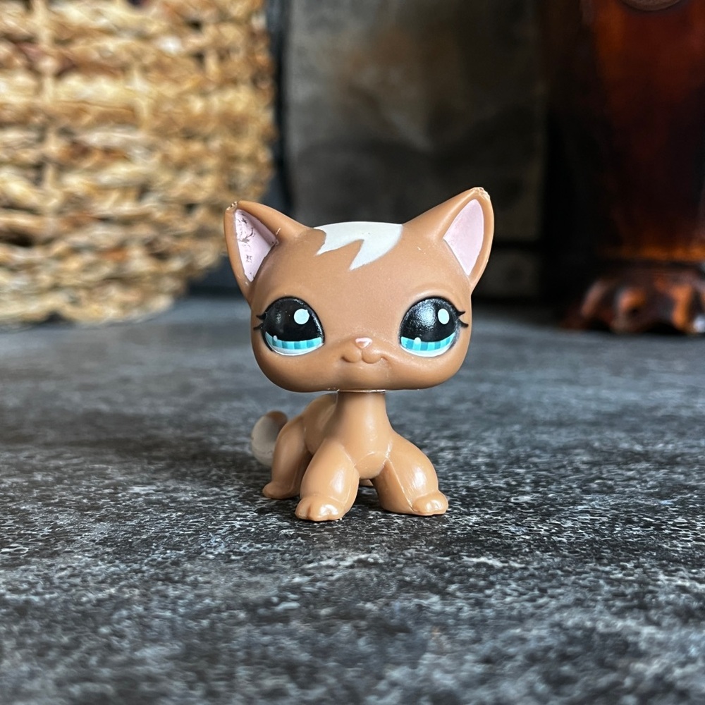 littlest pet shop shorthair cat #1170
